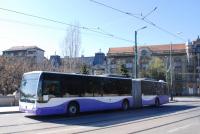 Imagine atasata: B26ZYV - 2013.04.14 - 2.JPG